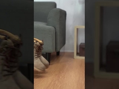 男性用スポーツ靴,防滑靴,耐着靴